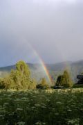 Regenbogen ber Reischach