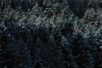 Reischach - Riscone / Bruneck - Brunico / Sdtirol - Alto Adige / IDolomites - Dolomiti - Dolomiten / taly - Italia - Italien